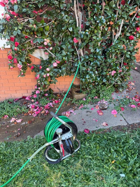A hose reel set up beside garden flowers